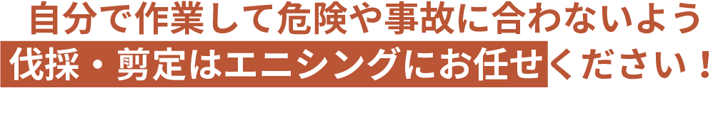 自分で作業して危険や事故に合わないよう伐採はエニシングにお任せください！